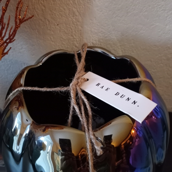 Rae Dunn Ceramic Iridescent Pumpkin Planter- Smashed - Picture 5 of 5